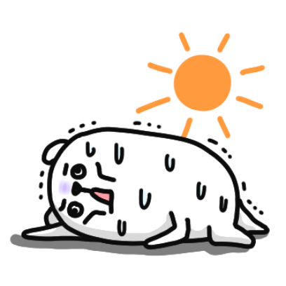 抖抖熊在夏季
