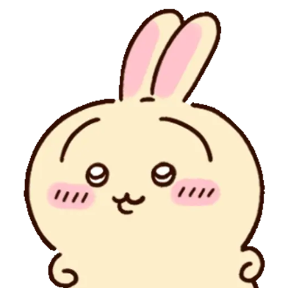 CHIIKAWA USAGI