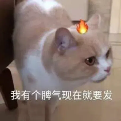 我有个脾气现在就要发 sticker