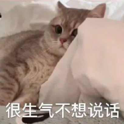 很生气不想说话 sticker