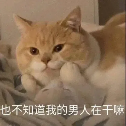 也不知道我的男人在干嘛 sticker