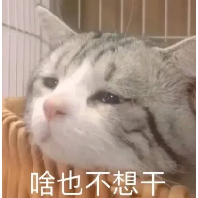 啥也不想干 sticker