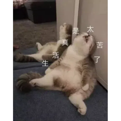 生活真是太苦了 sticker