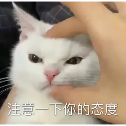 注意一下你的态度 sticker