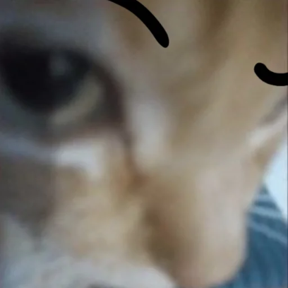 stare sticker