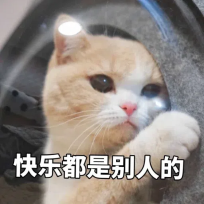 快乐都是别人的 sticker