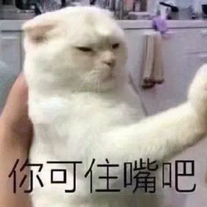 你可住嘴吧 sticker