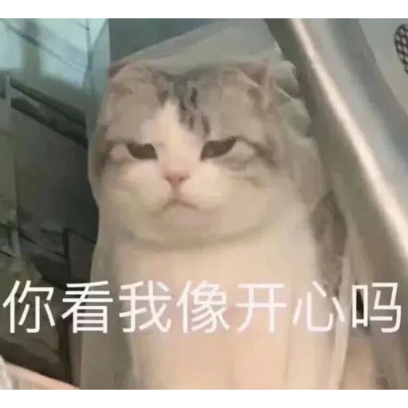 你看我像开心吗 sticker