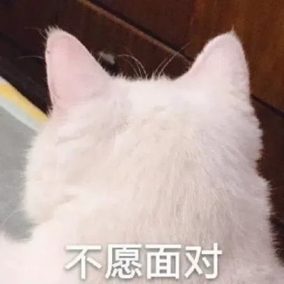 不愿面对 sticker