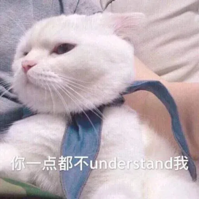 你一点都不understand我 sticker