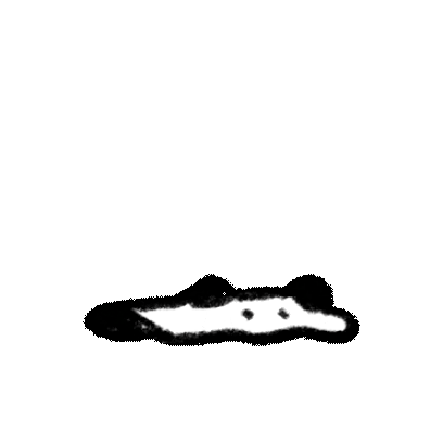disappear sticker