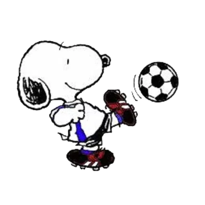 sport sticker