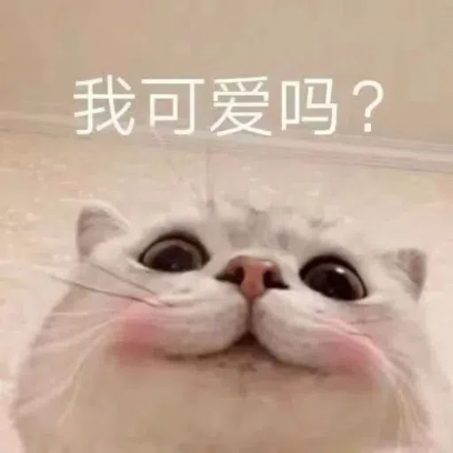 我可爱吗？ sticker