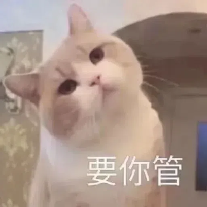 要你管 sticker