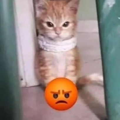 angry sticker