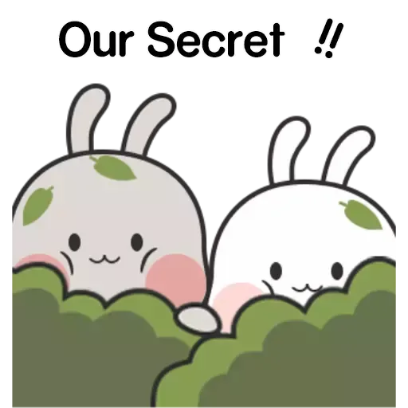 our-secret sticker